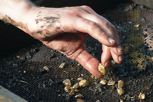 Closeup Photo of Hand Holding Piece of Gold From Gold Panning