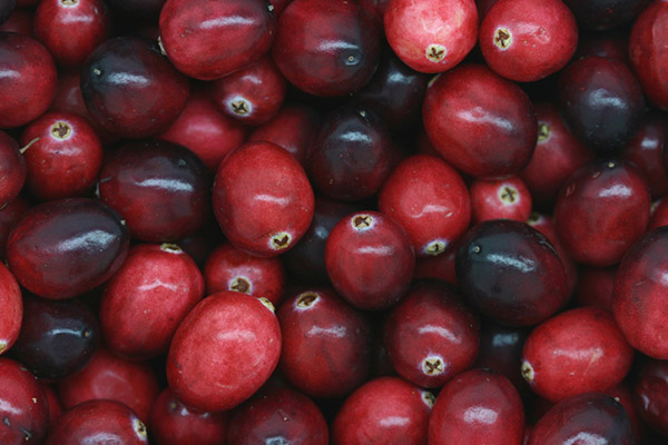 Photo of Mossberries