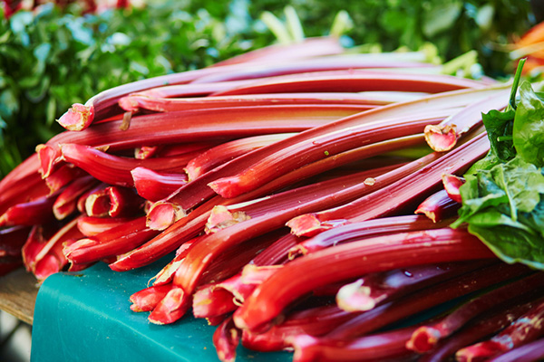 Photo of Rhubarb