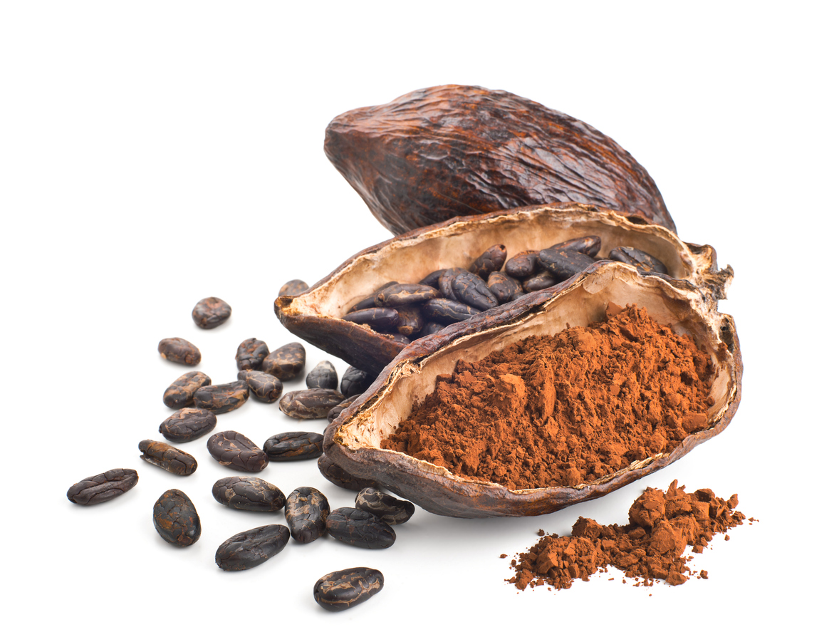 Cacoa Beans, Cacoa Pods & Cacoa Powder on a white background.