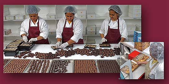 Photo of chocolates being packaged by hand in an Alaska Wild Berry Candy Kitchen