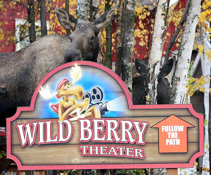 Alaska Moose Standing Behind Wild Berry Theater Sign